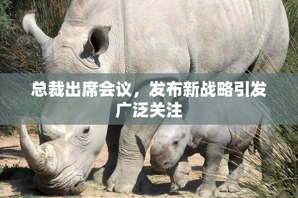 总裁出席会议，发布新战略引发广泛关注