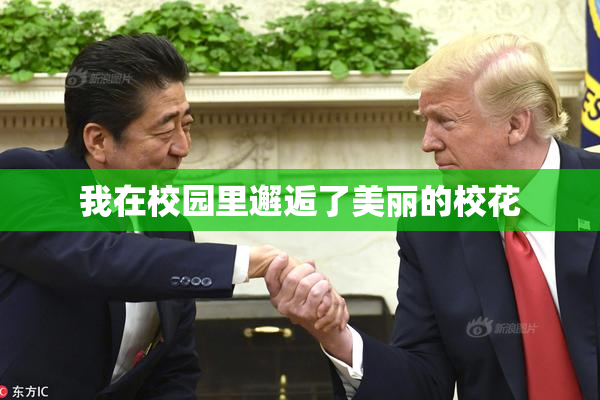 我在校园里邂逅了美丽的校花