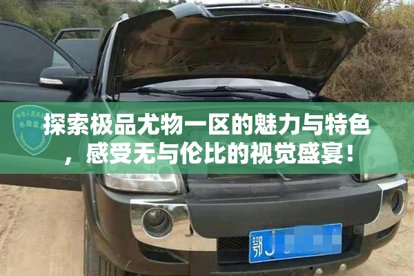 探索极品尤物一区的魅力与特色，感受无与伦比的视觉盛宴！