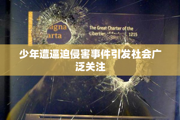 少年遭逼迫侵害事件引发社会广泛关注