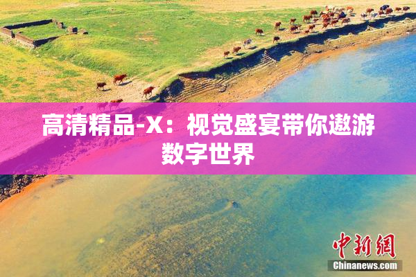 高清精品-X：视觉盛宴带你遨游数字世界