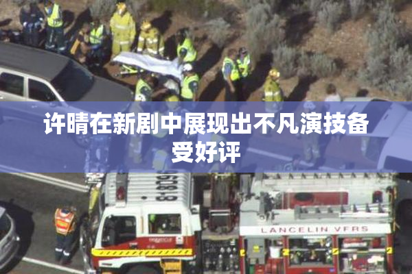 许晴在新剧中展现出不凡演技备受好评
