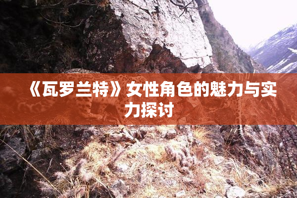《瓦罗兰特》女性角色的魅力与实力探讨