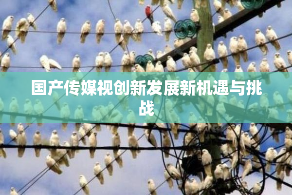 国产传媒视创新发展新机遇与挑战