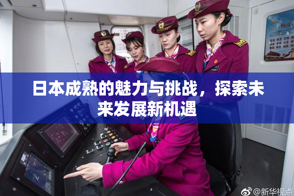 日本成熟的魅力与挑战，探索未来发展新机遇