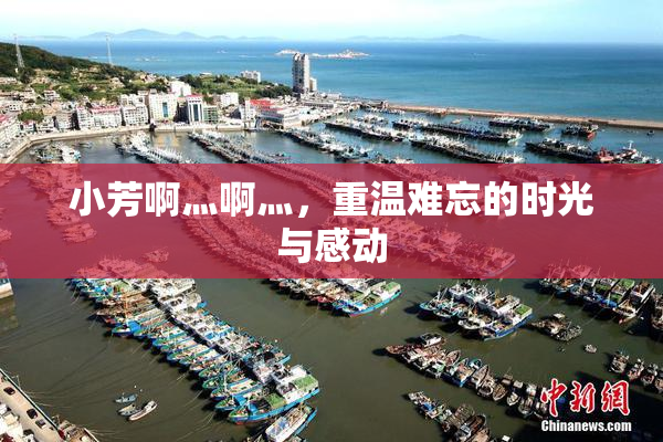 小芳啊灬啊灬，重温难忘的时光与感动