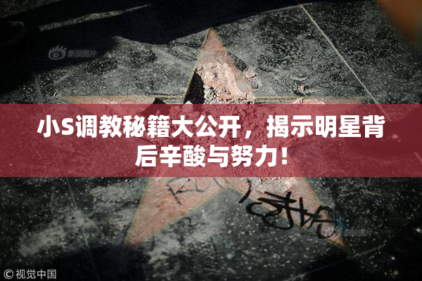小S调教秘籍大公开，揭示明星背后辛酸与努力！