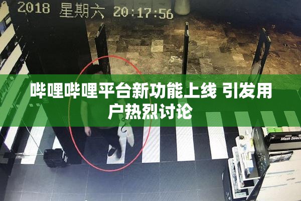 哔哩哔哩平台新功能上线 引发用户热烈讨论