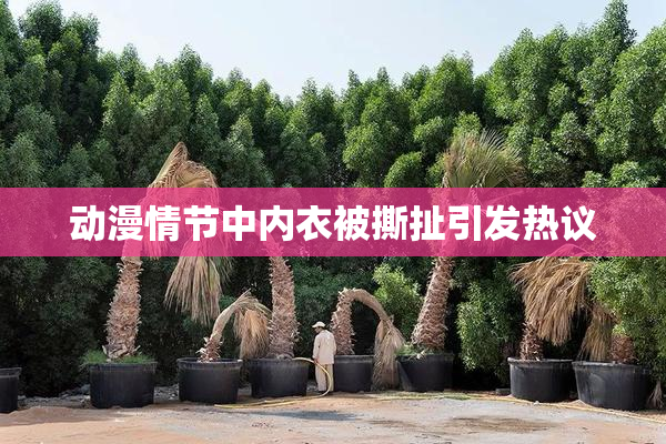 动漫情节中内衣被撕扯引发热议