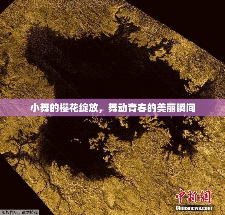 小舞的樱花绽放，舞动青春的美丽瞬间