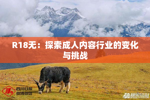 R18无：探索成人内容行业的变化与挑战