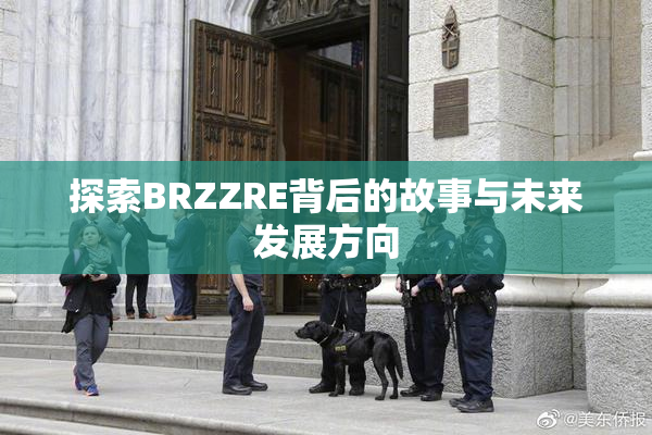 探索BRZZRE背后的故事与未来发展方向
