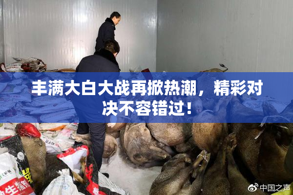 丰满大白大战再掀热潮，精彩对决不容错过！