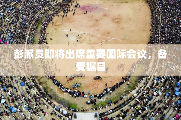 彭派员即将出席重要国际会议，备受瞩目