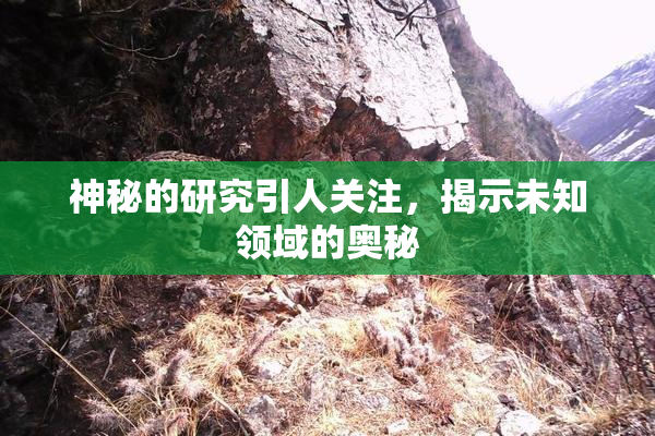 神秘的研究引人关注，揭示未知领域的奥秘