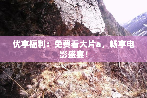 优享福利：免费看大片a，畅享电影盛宴！