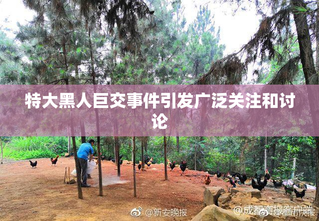 特大黑人巨交事件引发广泛关注和讨论