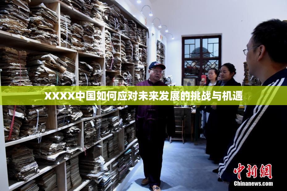 XXXX中国如何应对未来发展的挑战与机遇