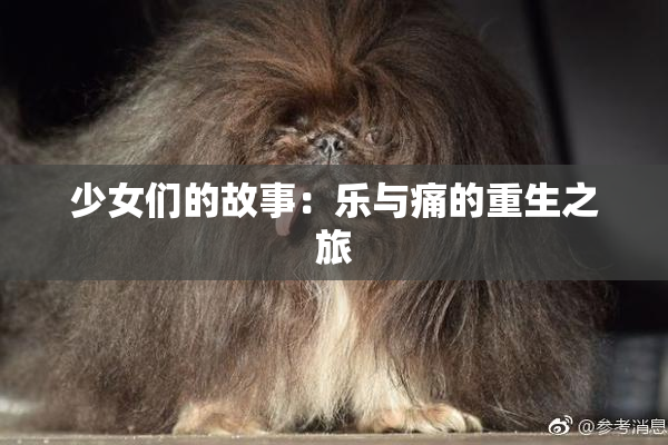 少女们的故事：乐与痛的重生之旅