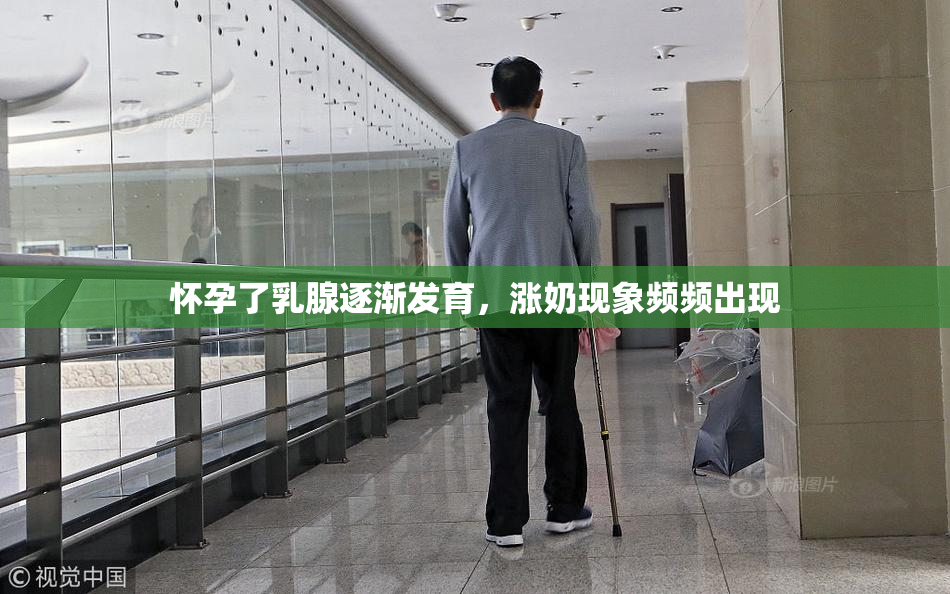 怀孕了乳腺逐渐发育，涨奶现象频频出现