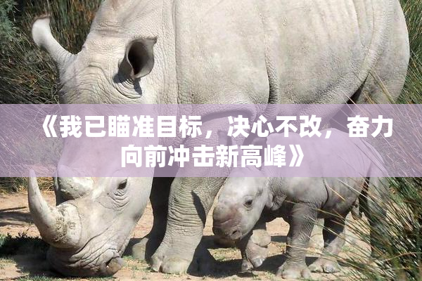《我已瞄准目标，决心不改，奋力向前冲击新高峰》