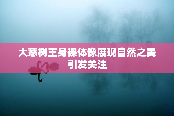 大慈树王身裸体像展现自然之美引发关注
