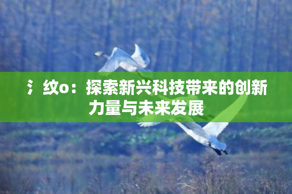 氵纹o：探索新兴科技带来的创新力量与未来发展