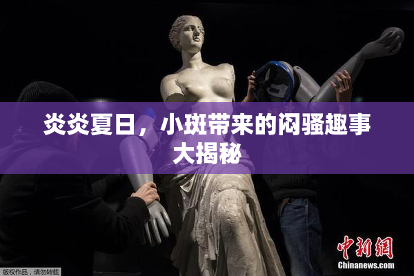 炎炎夏日，小斑带来的闷骚趣事大揭秘