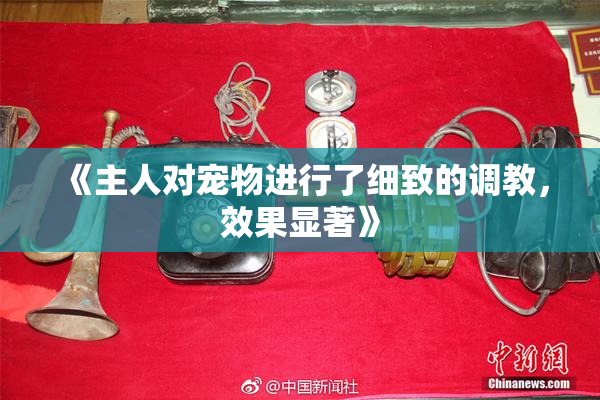 《主人对宠物进行了细致的调教，效果显著》