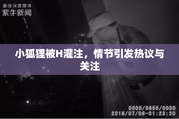 小狐狸被H灌注，情节引发热议与关注