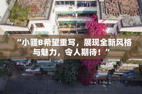 “小骚B希望重写，展现全新风格与魅力，令人期待！”