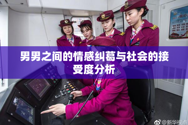 男男之间的情感纠葛与社会的接受度分析