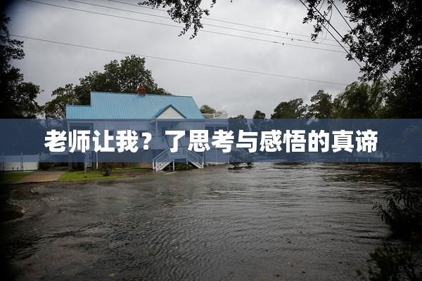老师让我？了思考与感悟的真谛