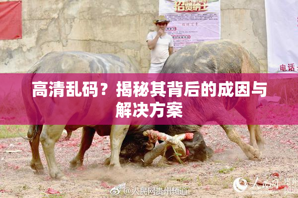 高清乱码？揭秘其背后的成因与解决方案