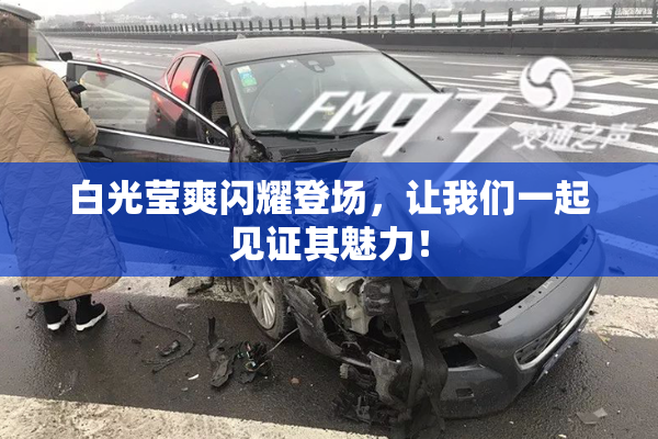 白光莹爽闪耀登场，让我们一起见证其魅力！