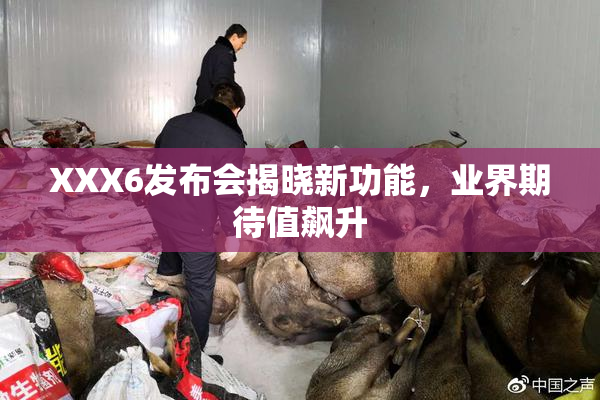 XXX6发布会揭晓新功能，业界期待值飙升