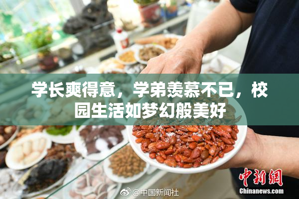 学长爽得意，学弟羡慕不已，校园生活如梦幻般美好