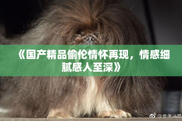 《国产精品偷伦情怀再现，情感细腻感人至深》