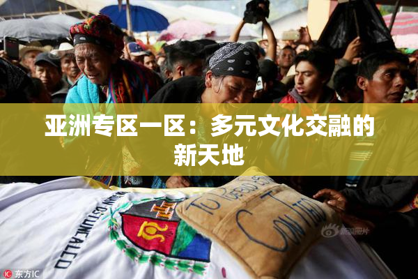 亚洲专区一区：多元文化交融的新天地