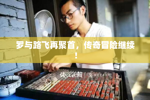 罗与路飞再聚首，传奇冒险继续！
