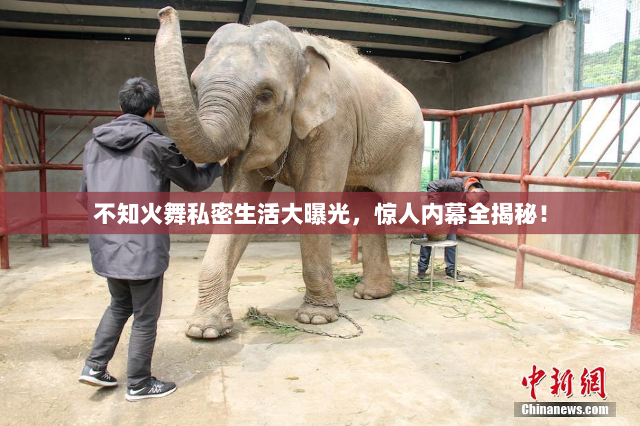 不知火舞私密生活大曝光，惊人内幕全揭秘！