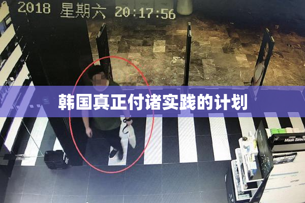 韩国真正付诸实践的计划