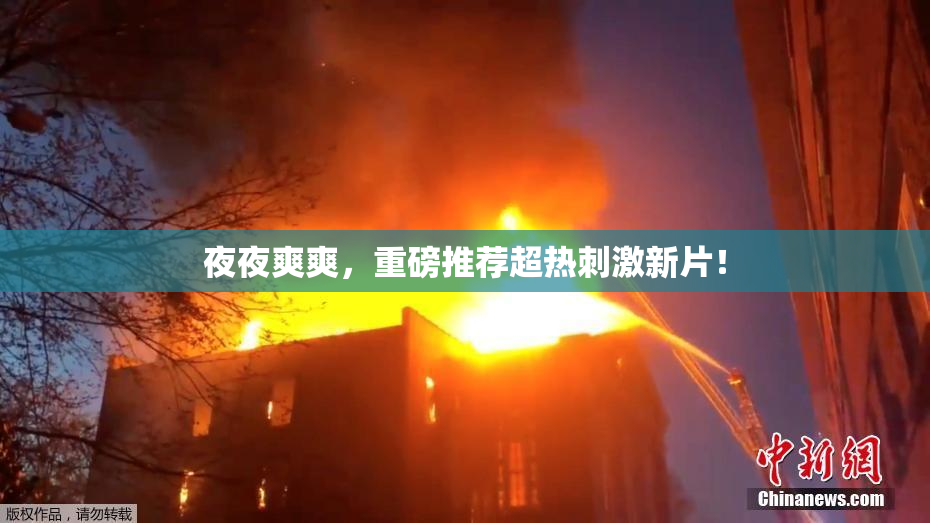 夜夜爽爽，重磅推荐超热刺激新片！