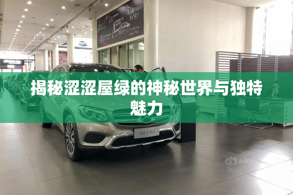 揭秘涩涩屋绿的神秘世界与独特魅力
