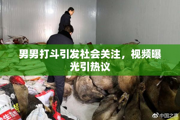 男男打斗引发社会关注，视频曝光引热议