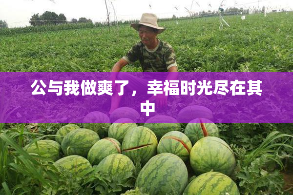 公与我做爽了，幸福时光尽在其中