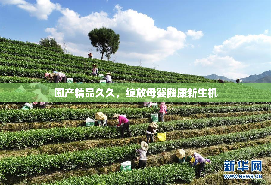 围产精品久久，绽放母婴健康新生机