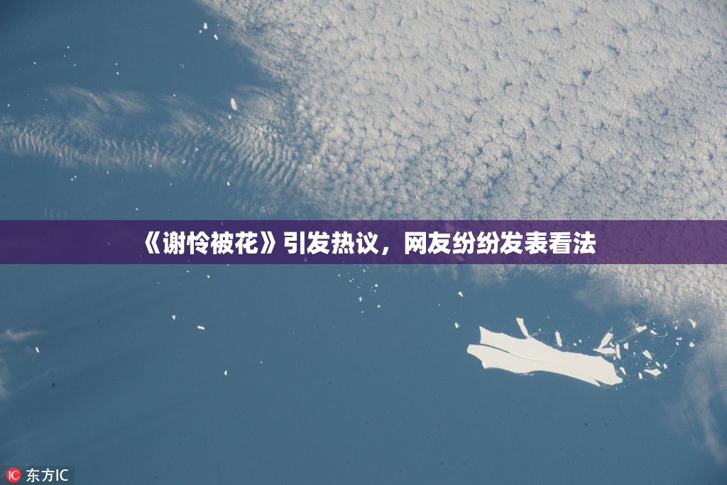 《谢怜被花》引发热议，网友纷纷发表看法