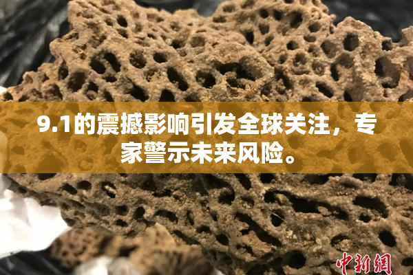 9.1的震撼影响引发全球关注，专家警示未来风险。