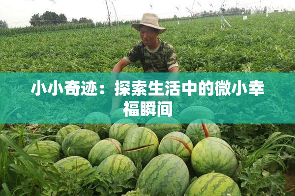 小小奇迹：探索生活中的微小幸福瞬间